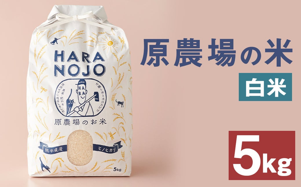 原農場の米 （白米） 5kg お米 米 こめ コメ 白米 ヒノヒカリ ひのひかり ごはん ご飯 熊本県産 国産