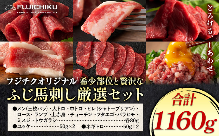 馬肉 フジチクオリジナル 希少部位 と 贅沢な ふじ馬刺し 厳選 セット 亀井通産株式会社《30日以内に出荷予定(土日祝除く)》 熊本県 菊池市 肉 馬肉 メン 大トロ 中トロ ヒレ シャトーブリアン ロース ランプ 上赤身 ふじ馬刺し セット 食べ比べ