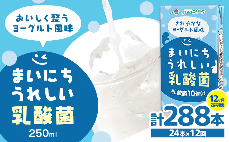 常温保存可能【1ヶ月毎12回定期便】まいにちうれしい 乳酸菌 ヨーグルト風味 250ml×24本 計288本 合同会社たべたせいか《お申し込みの翌月から出荷》熊本県 菊池市 紙パック ヨーグルト飲料 乳酸菌 ドリンク 飲み物 飲料 常温保存 国産 熊本県産