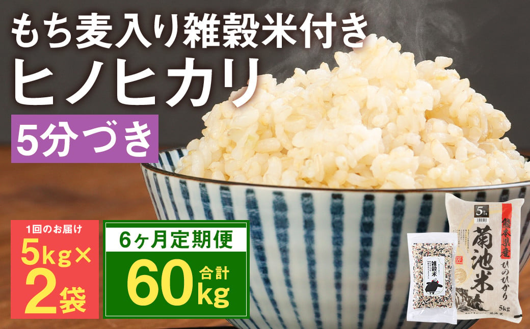 【定期便6ヵ月】熊本県菊池産 ヒノヒカリ 5分づき米 5kg×2袋 もち麦入り雑穀米 200g×2袋 計62.4kg