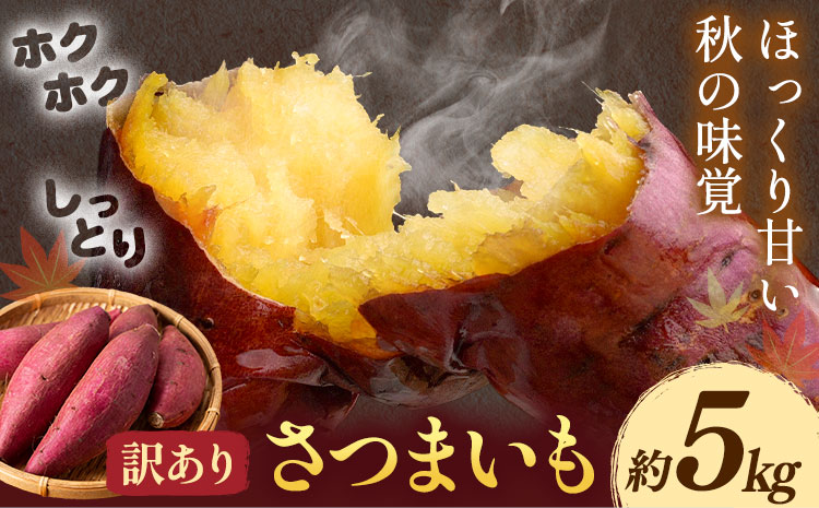 【先行予約】訳あり さつまいも 約5kg 日本フルーツ株式会社《2026年10月上旬-11月中旬頃出荷》熊本県 菊池市 さつまいも サツマイモ 訳あり 熊本県産