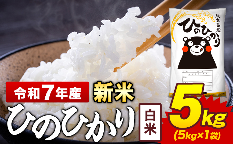 新米 令和7年産 白米 米 ひのひかり 5kg《7-14日以内に出荷予定(土日祝除く)》熊本県 菊池市 国産 熊本県産 白米 精米 送料無料 ヒノヒカリ こめ お米