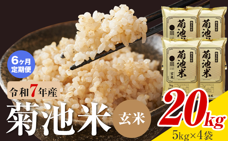 【6ヶ月定期便】熊本県産 菊池米 玄米 20kg 1袋5kg 米 お米 令和7年産 九州産 熊本県産 送料無料《お申込み翌月に出荷予定》玄米 米