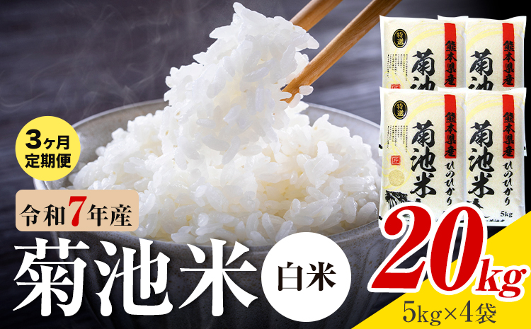 【3ヶ月定期便】熊本県産 菊池米 白米 20kg 1袋5kg 米 お米 令和7年産 九州産 熊本県産  送料無料《お申込み翌月に出荷予定》 白米 米