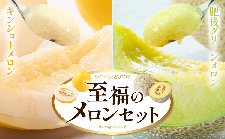 メロン 七城メロン Green＆Gold セット 肥後グリーン 1玉 キンショーメロン 2玉 ～ 3玉 2種類 MOTOYAMA358FARM 《2026年5月中旬-6月下旬頃出荷》 熊本県 菊池市 メロン 果物 フルーツ 九州産 国産 送料無料