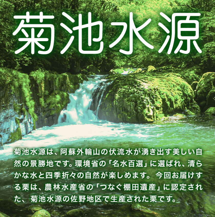 菊池水源産 さのまろん 冷凍剥き栗 内容量 約400g 農事組合法人菊池佐野《30日以内に出荷予定(土日祝除く)》熊本県 菊池市 栗 むき栗 筑波 冷凍 熊本県産 九州産 国産 送料無料