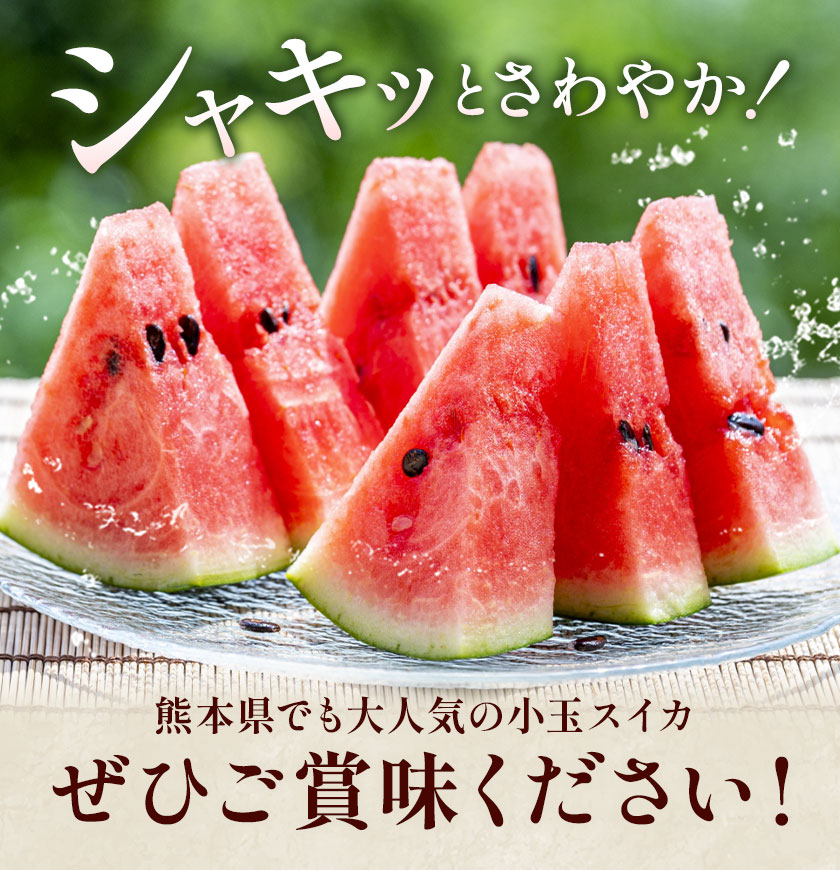 小玉スイカ 3L以上 2玉 計約3kg 株式会社エフビーネット《5月上旬-7月中旬頃出荷》熊本県 菊池市 小玉すいか すいか スイカ 西瓜 果物 フルーツ