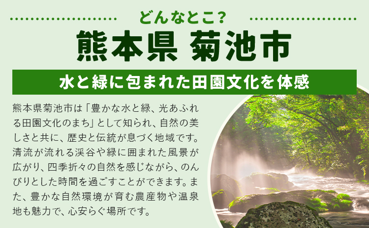 【定期便】 野菜 10品程度 計5回【メロンドーム】 定期便 5ヶ月お届け 詰め合わせ セット 国産 九州産 熊本県 菊池市 道の駅 送料無料《お申し込みの翌月から出荷》