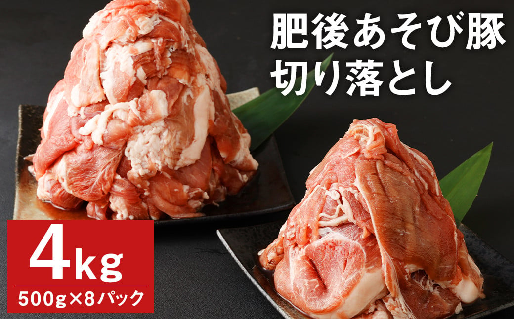 肥後 あそび豚 切落し 計4kg（500g×8パック） 国産 豚肉 【2025年1月上旬より順次発送】