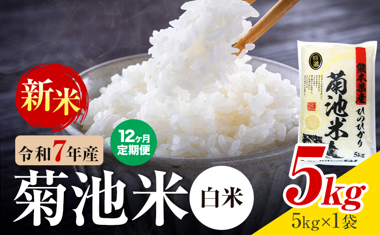 【12ヶ月定期便】熊本県産  白米 5kg 1菊池米袋5kg 米 お米 令和7年産 九州産 熊本県産 送料無料《お申込み翌月に出荷予定》 白米 米