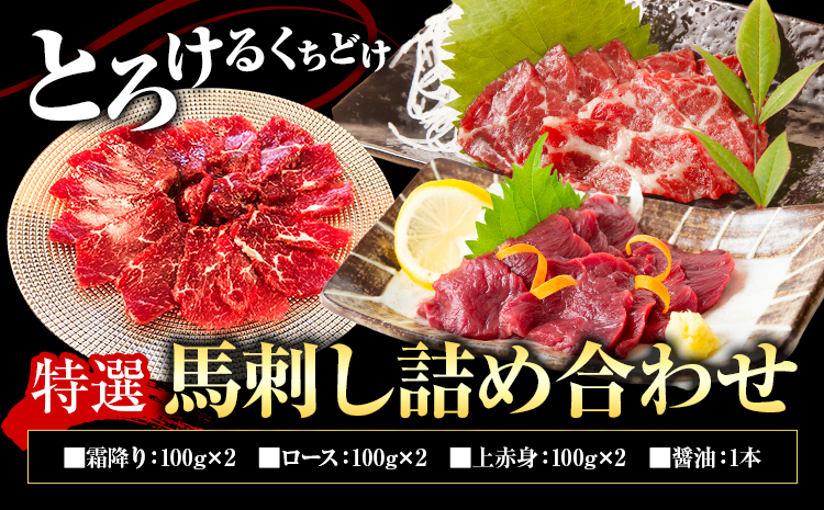 特選馬刺し詰め合わせ Eセット 合計600g 3種類 セット 霜降り100g×2 上赤身100g×2 ロース100g×2 醤油1本付き 有限会社七城町特産品センター《90日以内に出荷予定(土日祝除く)》熊本県 菊池市 馬肉 馬刺し 食べ比べ ブロック 冷凍 送料無料