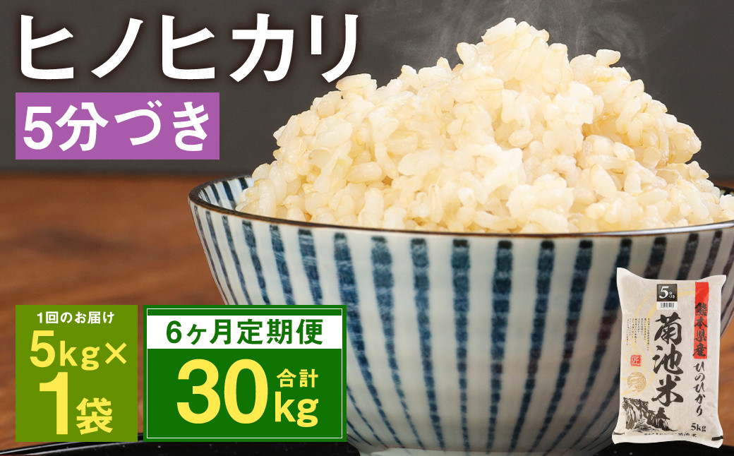 【6ヶ月定期便】熊本県菊池産 ヒノヒカリ 5kg×6回 計30kg 5分づき米 お米 米 分づき米