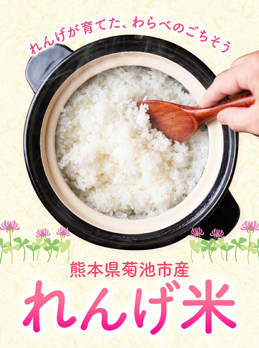 çæ¬çèæ± åžç£ã®ãããç±³ 5kg ã30æ¥ä»¥å
ã«åºè·äºå®(忥ç¥é€ã)ã ç²Ÿç±³æ¹æ³ 粟米 ãç±³ çœç±³ ã¬ã³ã²ç±³ çæ¬çç£ ä¹å·ç£ éæç¡æ