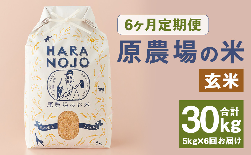 【6ヶ月定期便】原農場の米（玄米） 5kg 計30kg お米 米 こめ コメ 玄米 ヒノヒカリ ひのひかり ごはん ご飯 熊本県産 国産