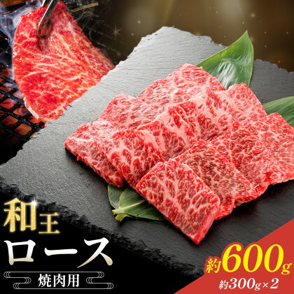 和王 ロース 焼肉用 約600g 約300g×2パック 菊池地域農業協同組合(JA菊池まんまキッチン)《90日以内に出荷予定(土日祝除く)》熊本県 菊池市 くまもと黒毛和牛 和牛 牛肉 お肉 焼き肉 熊本県産 九州産 国産 冷凍 送料無料