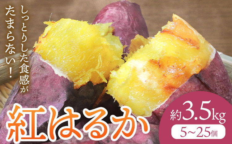 さつまいも 紅はるか 約3.5kg(5-25個) 株式会社GGYパッケージ《2025年11月下旬-2026年4月上旬頃出荷》熊本県 菊池市 さつまいも 紅はるか 芋 いも 野菜 国産 焼き芋 スイートポテト 芋ようかん 大学芋 干し芋 しっとり 旬 送料無料