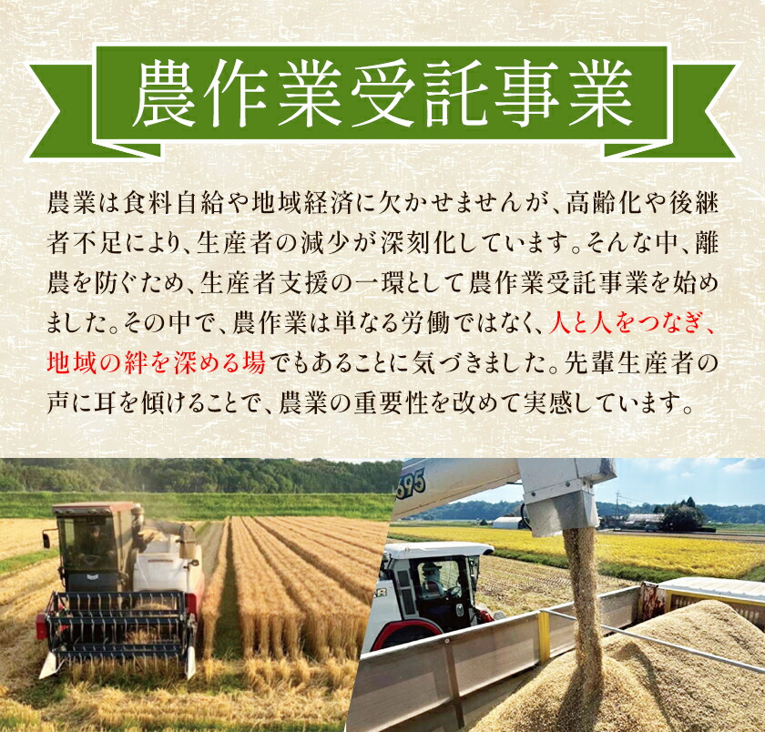有機JAS小麦使用 全粒粉 合計3kg 1kg×3袋 《30日以内に出荷予定(土日祝除く)》熊本県 菊池市 小麦粉 ミナミノカオリ パンづくり 粉類 国産 九州産 熊本県産 送料無料