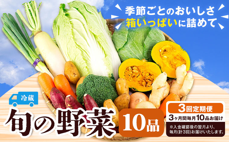 旬の野菜 定期便 計3回 旬の野菜 10品【養生市場】定期便 品種おまかせ ランダム 3ヶ月お届け 計3回 詰め合わせ セット 野菜 九州産 熊本県産《お申し込みの翌月から出荷》