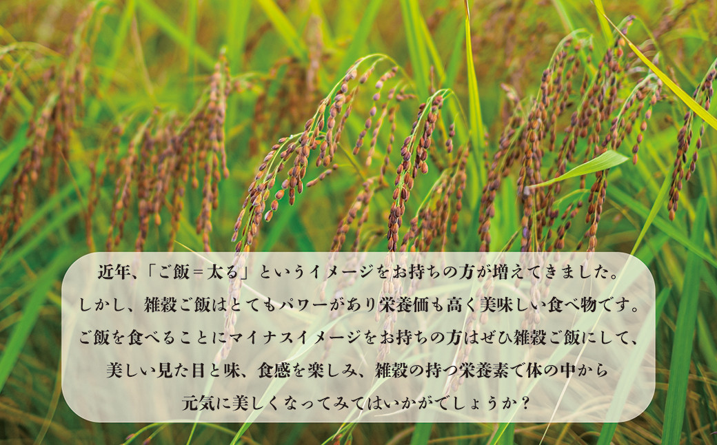 七城物語 有機赤米  玄米 合計900g(180g×5パック) 赤米