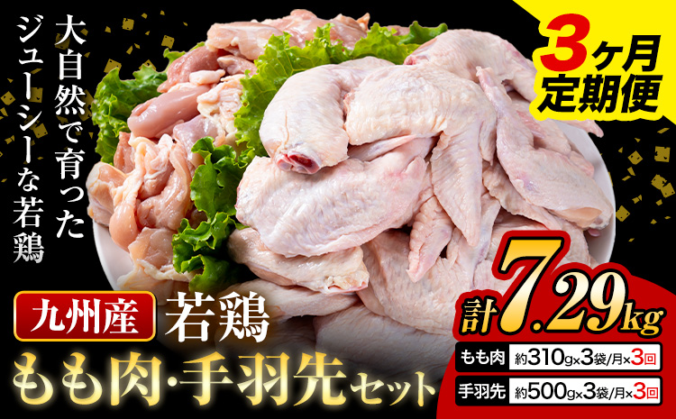 【3ヶ月定期便】 九州産 若鶏もも肉（310g×3袋）・手羽先セット（500g×3袋） 計2.43kg  鶏肉 肉 鶏 手羽 唐揚げ 詰め合わせ セット 冷凍 九州 国産 熊本県 菊池市 送料無料《お申込み翌月から出荷》