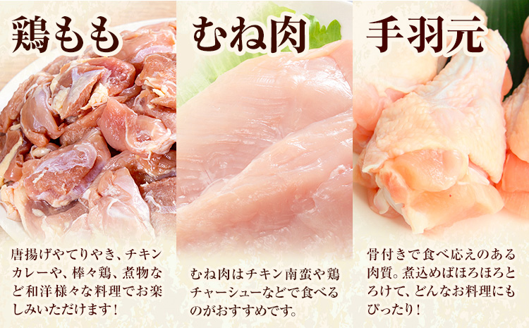 ã6ã¶æå®æäŸ¿ã ä¹å·ç£ è¥é¶ããè(310gÃ3è¢) ã ãè(600gÃ2è¢) æçŸœå
ã»ãã(500gÃ3è¢) èš3.63kg é¶è è é¶ æçŸœ æçŸœå
åæã è©°ãåãã ã»ãã å·å ä¹å· åœç£ çæ¬ç èæ± åž éæç¡æããç³èŸŒã¿ç¿æããåºè·ã