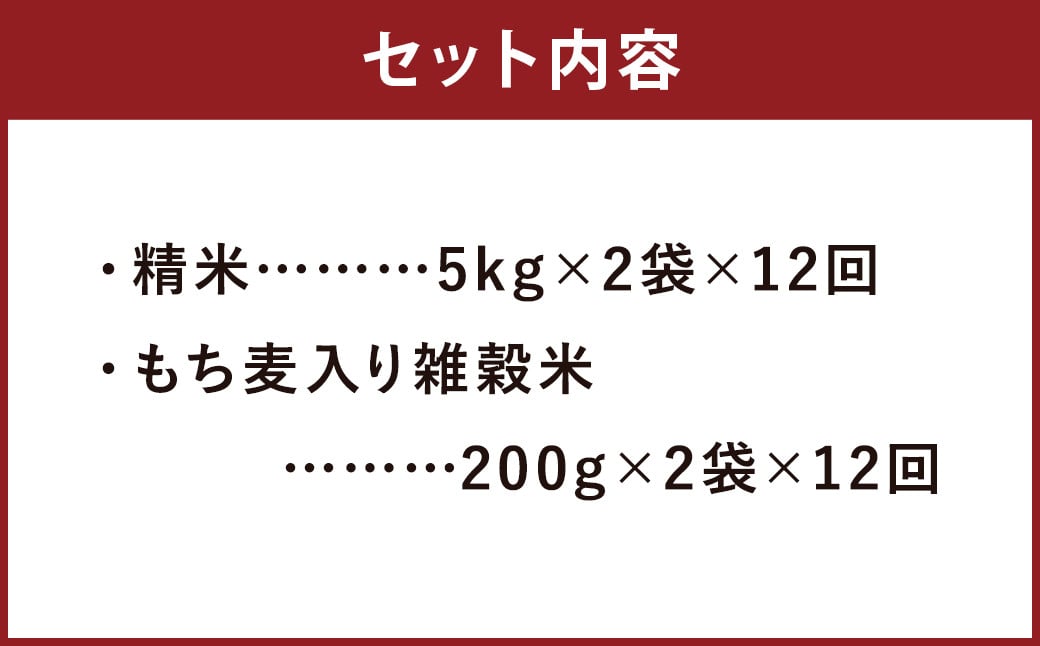 【定期便12ヵ月】熊本県菊池産 ヒノヒカリ 精米 計120kg(10kg×12) もち麦入り雑穀米 計4.8kg(400g×12) 米 お米 低温保管 残留農薬ゼロ