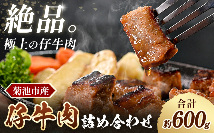 菊池市産 仔牛肉詰め合わせ 合計約600g セット 宮川ファーム《90日以内に出荷予定(土日祝除く)》 部位おまかせ ランダム お肉 牛肉 ジャージー仔牛肉 国産 熊本県産 九州産 冷凍 送料無料