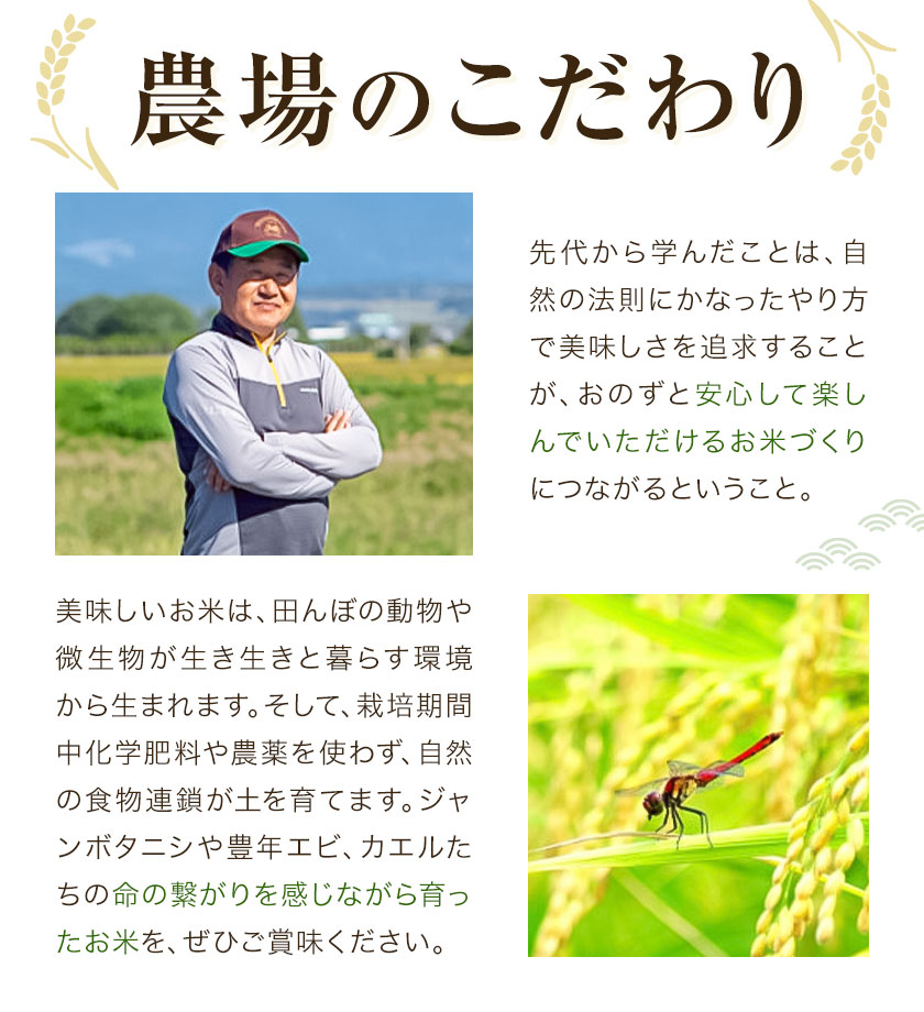荳蝓守黄隱 譛画ゥ溷ー城コヲ邊 阮蜉帷イ 繝√け繧エ繧、繧コ繝 蜷郁ィ2kg 500gテ4陲 譬ェ蠑丈シ夂、セ譛画ゥ溯セイ蝣エ縲30譌・莉・蜀縺ォ蜃コ闕キ莠亥ョ(蝨滓律逾晞勁縺)縲狗頑悽逵 闖頑ア蟶 荳蝓守黄隱 譛画ゥ溷ー城コヲ邊 蟆城コヲ邊 蝗ス逕」 荵晏キ樒肇 辭頑悽逵檎肇