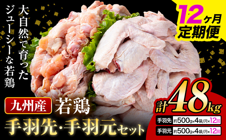 【12ヶ月定期便】 九州産 手羽先（500g×4袋）・手羽元（500g×4袋）セット 計4kg 鶏肉 肉 鶏 手羽 唐揚げ 詰め合わせ セット 冷凍 九州 国産 熊本県 菊池市 送料無料《お申込み翌月から出荷》