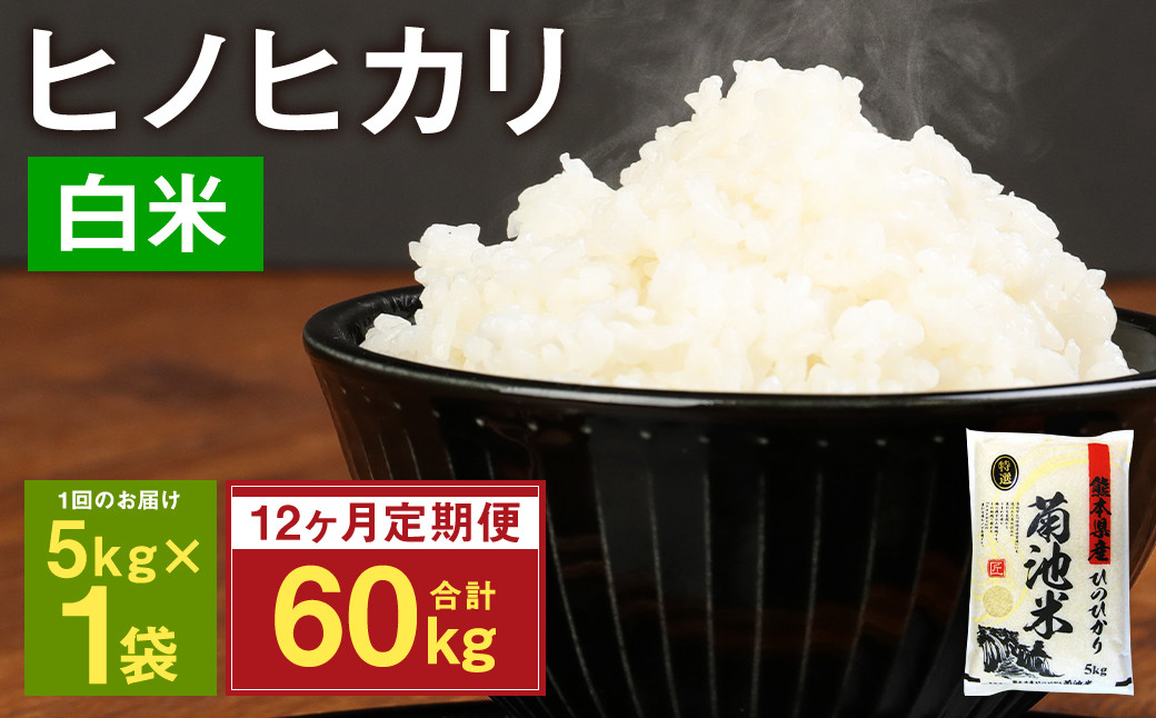 【12ヶ月定期便】熊本県菊池産 ヒノヒカリ 5kg×12回 計60kg 精米 お米 米 白米 