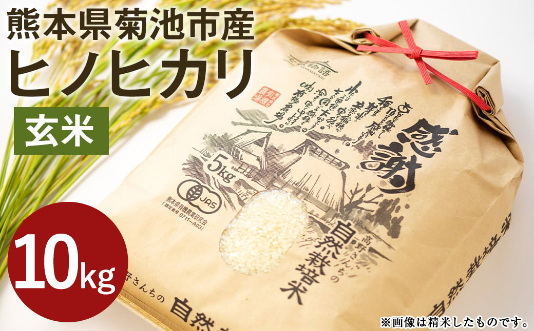 【真空パック】〈令和7年産〉七城物語 高野さんちの自然栽培米 玄米 10kg  熊本県菊池産 ヒノヒカリ 計10kg  《30日以内に出荷予定(土日祝除く)》