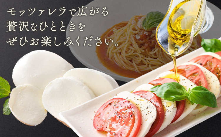 繝「繝繝繧。繝ャ繝ゥ繝√シ繧コ 繝溘Ν辷 3蛟 繝√シ繧コ 繝「繧カ繝ャ繝ゥ 譬ェ蠑丈シ夂、セ繝輔か繝ォ繝翫サ繝エ繧ァ繧ケ繧ソ縲90譌・莉・蜀縺ォ蜃コ闕キ莠亥ョ(蝨滓律逾晞勁縺)縲九ヵ繝ャ繝繧キ繝・ 繧ォ繝励Ξ繝シ繧シ 縺翫▽縺セ縺ソ 蜑崎除 謇倶ス懊j 蝗ス逕」 辭頑悽逵 闖頑ア蟶 騾∵侭辟。譁