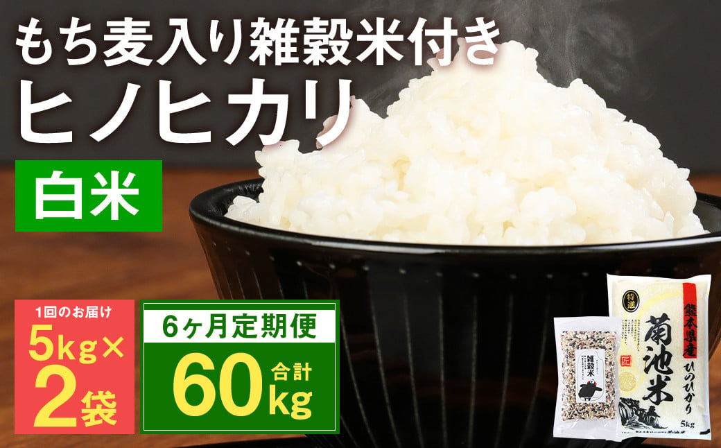 【定期便6ヵ月】熊本県菊池産 ヒノヒカリ 精米 計60kg(10kg×6) もち麦入り雑穀米 計2.4kg(400g×6) 米 お米 低温保管 残留農薬ゼロ