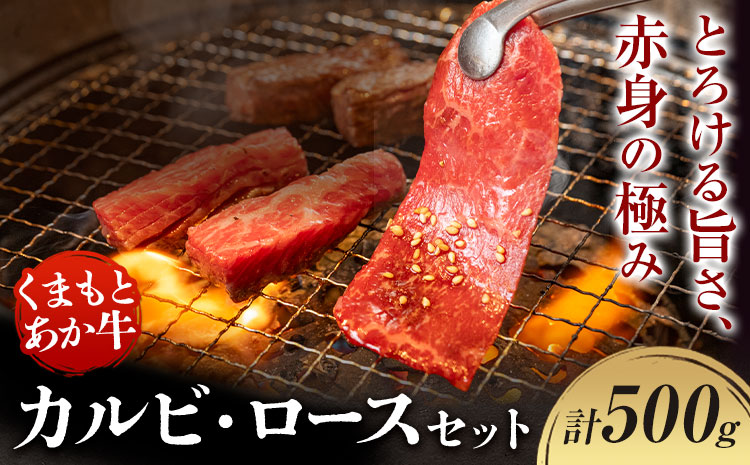 くまもとあか牛 カルビ ロース セット 約500g 有限会社草佳苑《30日以内に出荷予定(土日祝除く)》熊本県 菊池市 肉 牛肉 お肉 和牛 あか牛 焼肉 バーベキュー BBQ 熊本県産 冷凍 送料無料