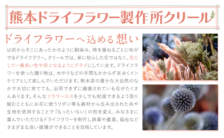 繝峨Λ繧、繝輔Λ繝ッ繝シ繧ケ繝ッ繝繧ー Standard 繝斐Φ繧ッ 1譚 繝峨Λ繧、繝輔Λ繝ッ繝シ 繧ケ繝ッ繝繧ー 繝繧カ繧、繝ウ縺翫∪縺九○ 繝輔Λ繝ッ繝シ繧「繝ャ繝ウ繧ク 繧、繝ウ繝繝ェ繧「 闃ア 騾∵侭辟。譁吶90譌・莉・蜀縺ォ蜃コ闕キ莠亥ョ(蝨滓律逾晞勁縺)縲