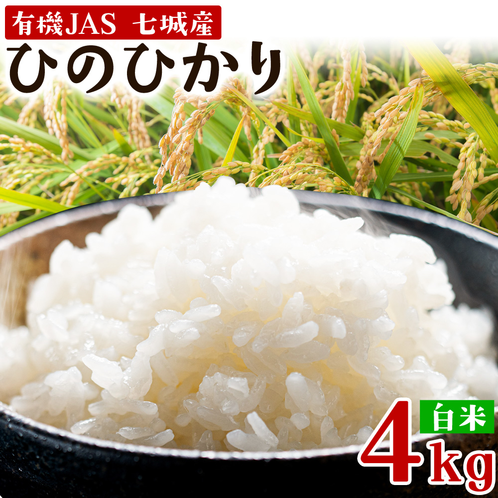 令和7年産 有機JAS 七城産ひのひかり 精米 4kg 《30日以内に出荷予定(土日祝除く)》渡辺農産熊本県 菊池市 米 お米 精米 ひのひかり 菊池市産 熊本県産 九州産 送料無料