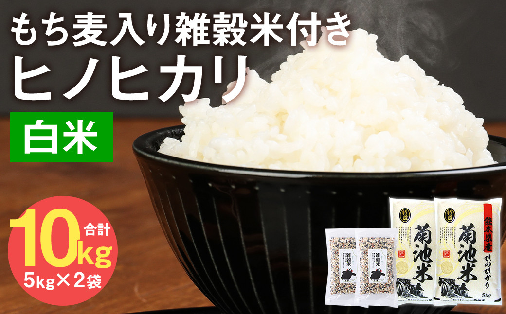 熊本県菊池産 ヒノヒカリ 精米 10kg(5kg×2袋) もち麦入り雑穀米 400g(200g×2袋) 米 お米 低温保管 残留農薬ゼロ