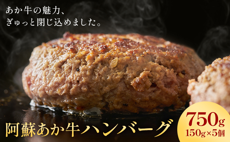 阿蘇あか牛ハンバーグ 750g 150g × 5個 株式会社LARKS《30日以内に出荷予定(土日祝除く)》ハンバーグ あか牛 牛肉 熊本県 冷凍 送料無料