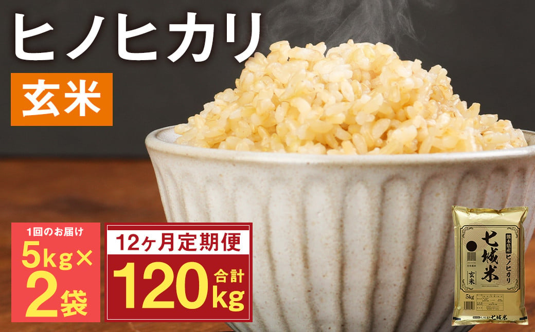 【定期便12ヵ月】熊本県菊池産 ヒノヒカリ 玄米 計120kg（5kg×2袋×12回）米 お米 残留農薬ゼロ 低温貯蔵