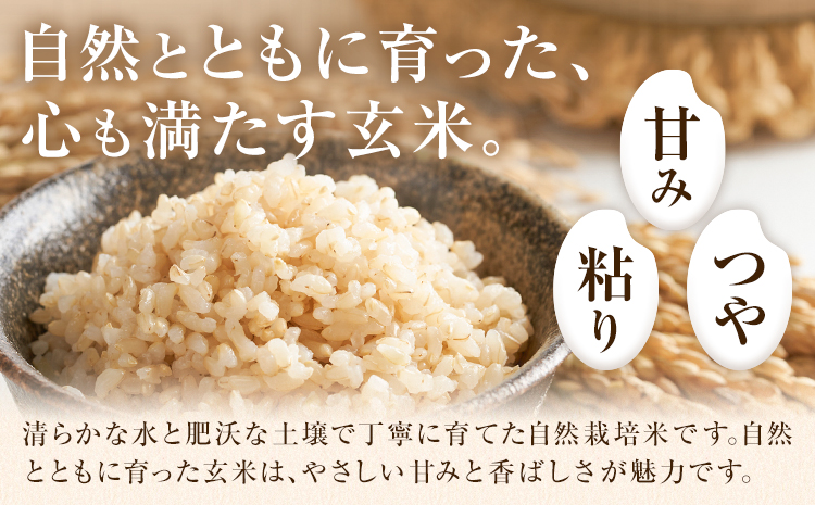 【3ヶ月定期便】令和7年産 高野さんちの自然栽培米 玄米 計30kg(5kg×2袋/月×3回) 《通常パッケージ》株式会社有機農場《お申し込み月の翌月から出荷開始》熊本県 菊池市 米 お米 ヒノヒカリ ひのひかり 自然栽培米 七城物語 熊本県産