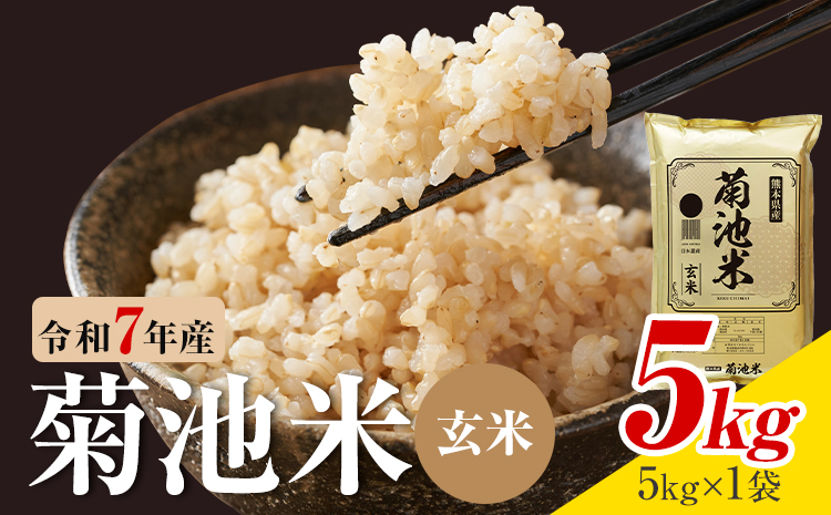 令和7年産 熊本県産 菊池米 玄米 5kg 1袋5kg 株式会社くまもとごはん 《30日以内に出荷予定(土日祝除く)》米 お米 令和7年産 九州産 熊本県産  送料無料