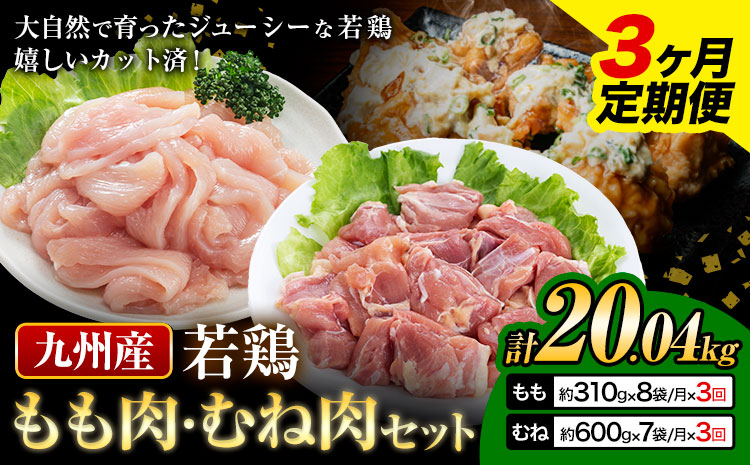 【3ヶ月定期便】 九州産若鶏もも肉（310g×8袋）・むね肉（600g×7袋）セット  鶏肉 お肉 モモ肉 もも肉 ムネ肉 むね肉 2種類 小分け 冷凍 九州産 国産 熊本県 菊池市 送料無料《お申込み翌月から出荷》