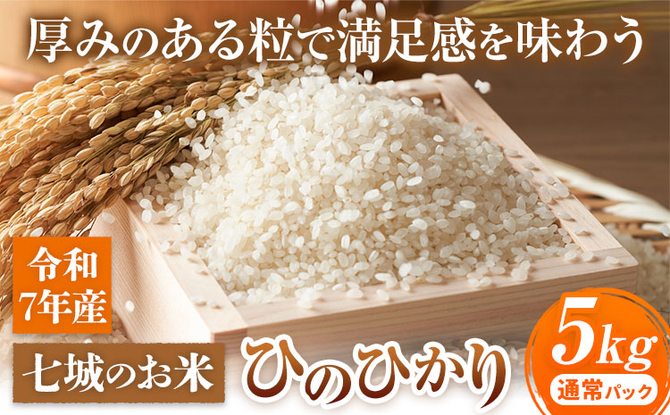 七城のお米 ヒノヒカリ 5kg 通常パッケージ 白米 精米 令和7年産 堀田農場《30日以内に出荷予定(土日祝除く)》お米 ひのひかり 熊本県 菊池市 熊本県産 九州産 送料無料