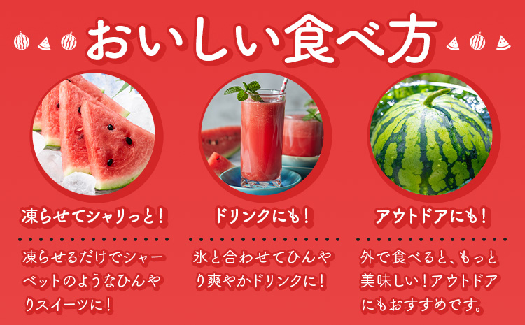 【先行予約】スイカ 大玉すいか 秀品 1玉 約 6kg ～ 9kg 株式会社Foody’s 食彩たかみ 《2026年5月下旬-7月下旬頃出荷》 熊本県 菊池市 フルーツ 果物 スイカ すいか 大玉 九州産 冷蔵 送料無料