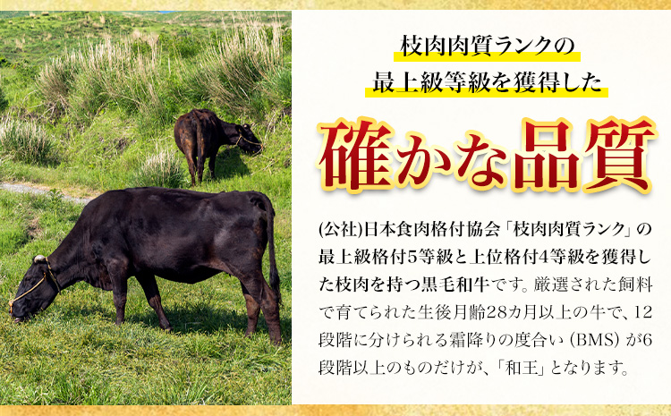 熊本県産 黒毛和牛 ロース すきやき用 400g 《90日以内に出荷予定(土日祝除く)》国産 牛肉 すき焼き