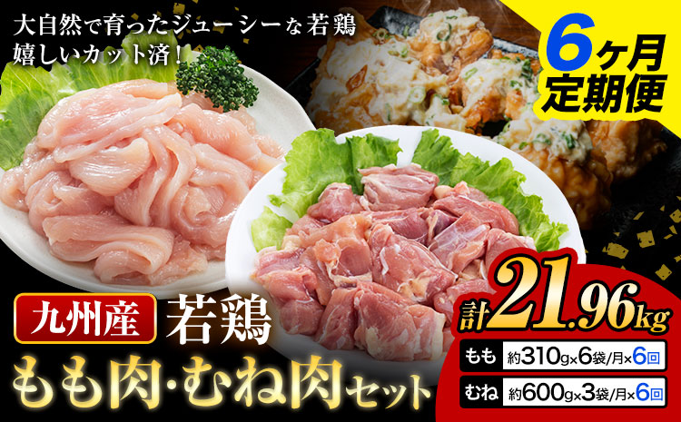 【6ヶ月定期便】 九州産若鶏もも肉（310g×6袋）・むね肉（600g×3袋）セット  鶏肉 お肉 モモ肉 もも肉 ムネ肉 むね肉 2種類 小分け 冷凍 九州産 国産 熊本県 菊池市 送料無料《お申込み翌月から出荷》