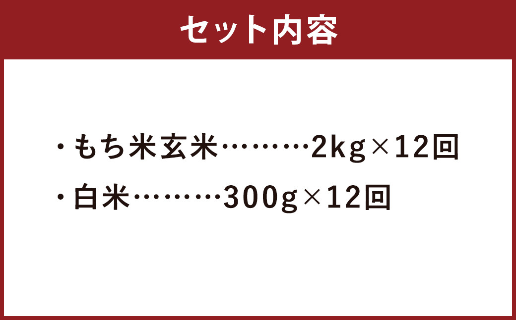 【定期便12ヵ月】 熊本県 菊池産 もち米 玄米 2kg 白米300g 計27.6kg ヒヨクモチ