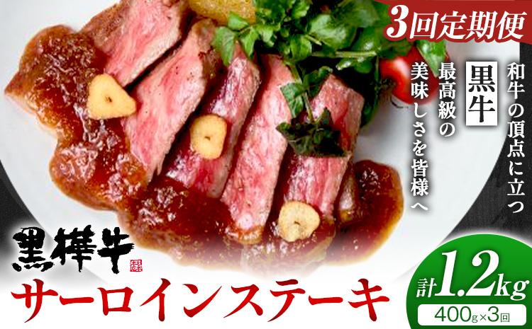 【3ヶ月定期便】くまもと黒毛和牛 黒樺牛 A4-A5等級サーロインステーキ定期便 400g×3回 合計1.2kg 《お申し込み月の翌月から出荷開始》熊本県 菊池市 和牛 お肉 牛肉 黒毛和牛 霜降り ステーキ 定期便 国産 九州産 熊本県産 冷凍 送料無料