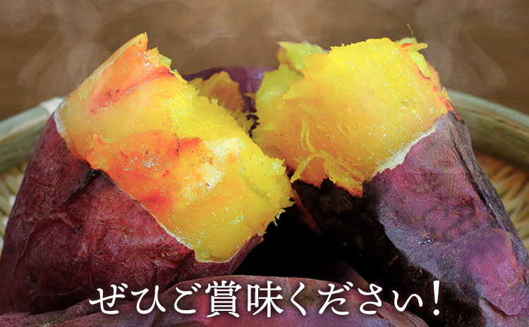 さつまいも 紅はるか 約3.5kg(5-25個) 株式会社GGYパッケージ《2025年11月下旬-2026年4月上旬頃出荷》熊本県 菊池市 さつまいも 紅はるか 芋 いも 野菜 国産 焼き芋 スイートポテト 芋ようかん 大学芋 干し芋 しっとり 旬 送料無料