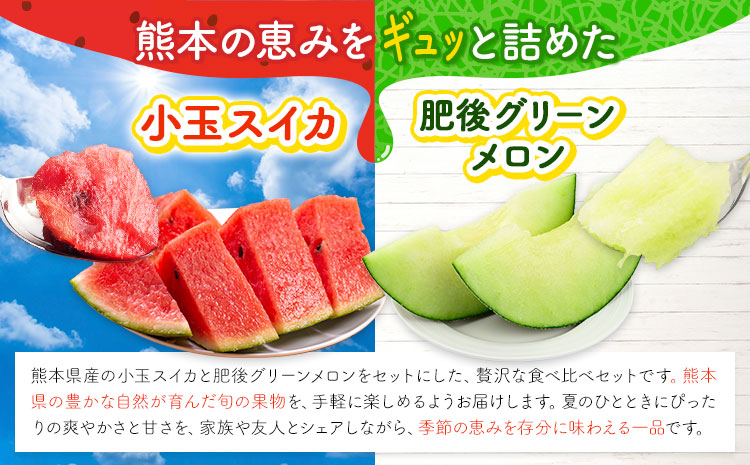 小玉スイカ&肥後グリーンメロン 食べ比べ 各1玉(計2玉 約3.5kg)  日本フルーツ株式会社 《5月中旬-7月末頃出荷》 熊本県 菊池市 西瓜 メロン 熊本県産